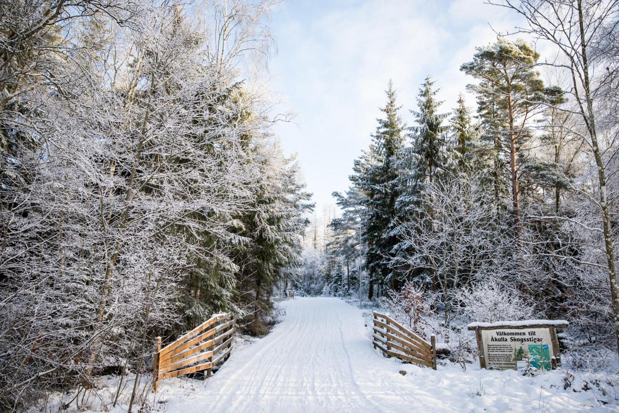 Akulla Outdoor Resort Rolfstorp المظهر الخارجي الصورة